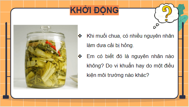 Giáo án điện tử Sinh 10 Chân trời sáng tạo Bài 2: Các phương pháp nghiên cứu và học tập môn Sinh học | PPT Sinh học 10