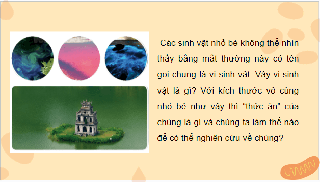 Giáo án điện tử Sinh 10 Kết nối tri thức Bài 20: Sự đa dạng và phương pháp nghiên cứu vi sinh vật | PPT Sinh học 10