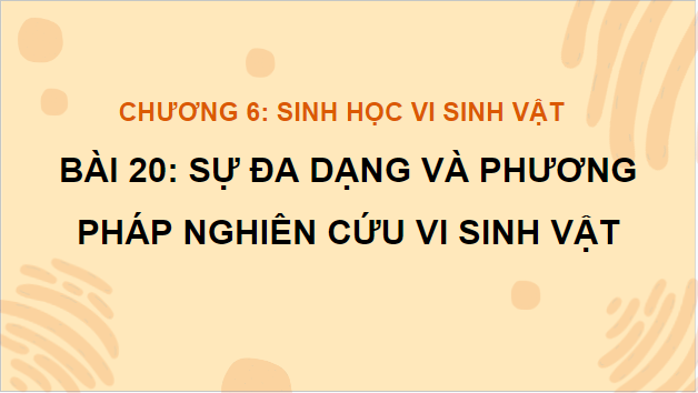 Giáo án điện tử Sinh 10 Kết nối tri thức Bài 20: Sự đa dạng và phương pháp nghiên cứu vi sinh vật | PPT Sinh học 10