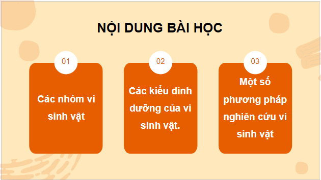 Giáo án điện tử Sinh 10 Kết nối tri thức Bài 20: Sự đa dạng và phương pháp nghiên cứu vi sinh vật | PPT Sinh học 10