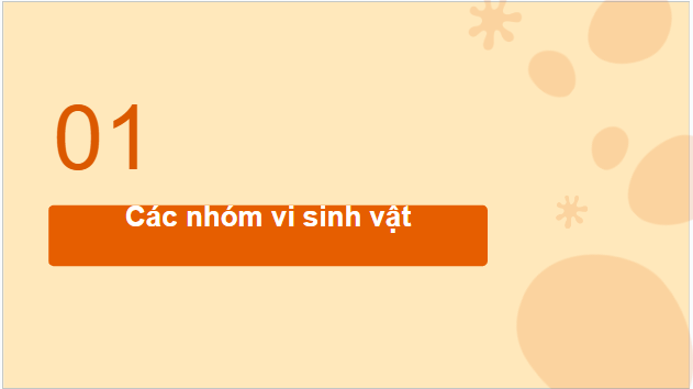 Giáo án điện tử Sinh 10 Kết nối tri thức Bài 20: Sự đa dạng và phương pháp nghiên cứu vi sinh vật | PPT Sinh học 10