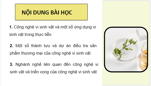 Giáo án điện tử Sinh 10 Cánh diều Bài 20: Thành tựu của công nghệ vi sinh vật và ứng dụng của vi sinh vật | PPT Sinh học 10