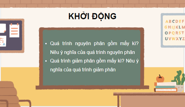 Giáo án điện tử Sinh 10 Chân trời sáng tạo Bài 20: Thực hành: Quan sát tiêu bản các kì phân bào nguyên phân và giảm phân | PPT Sinh học 10