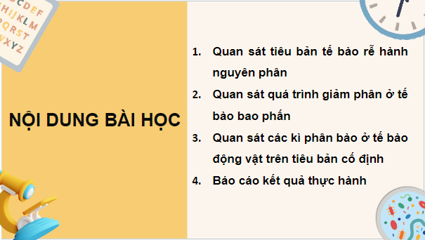 Giáo án điện tử Sinh 10 Chân trời sáng tạo Bài 20: Thực hành: Quan sát tiêu bản các kì phân bào nguyên phân và giảm phân | PPT Sinh học 10