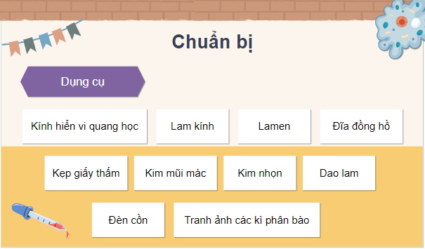 Giáo án điện tử Sinh 10 Chân trời sáng tạo Bài 20: Thực hành: Quan sát tiêu bản các kì phân bào nguyên phân và giảm phân | PPT Sinh học 10