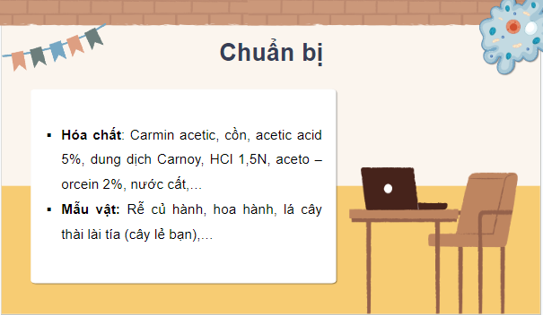 Giáo án điện tử Sinh 10 Chân trời sáng tạo Bài 20: Thực hành: Quan sát tiêu bản các kì phân bào nguyên phân và giảm phân | PPT Sinh học 10