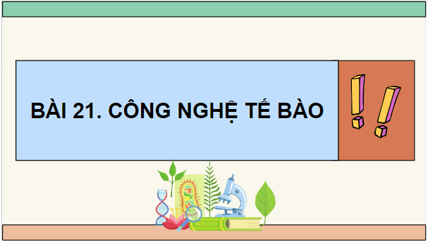 Giáo án điện tử Sinh 10 Chân trời sáng tạo Bài 21: Công nghệ tế bào | PPT Sinh học 10