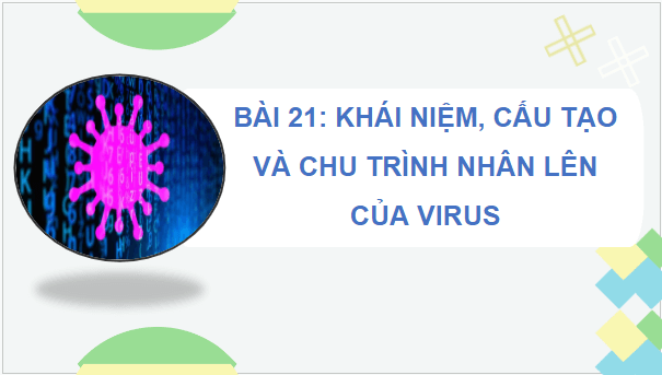 Giáo án điện tử Sinh 10 Cánh diều Bài 21: Khái niệm, cấu tạo và chu trình nhân lên của virus | PPT Sinh học 10