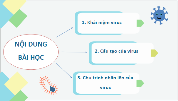 Giáo án điện tử Sinh 10 Cánh diều Bài 21: Khái niệm, cấu tạo và chu trình nhân lên của virus | PPT Sinh học 10