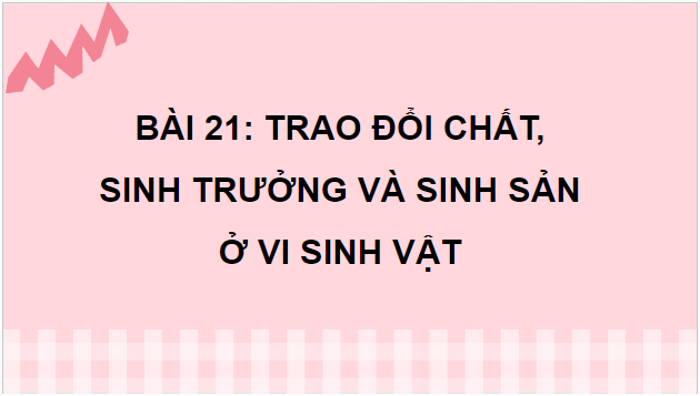 Giáo án điện tử Sinh 10 Kết nối tri thức Bài 21: Trao đổi chất, sinh trưởng và sinh sản ở vi sinh vật | PPT Sinh học 10