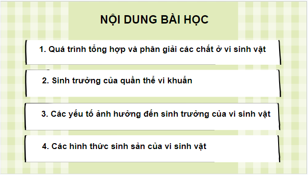 Giáo án điện tử Sinh 10 Kết nối tri thức Bài 21: Trao đổi chất, sinh trưởng và sinh sản ở vi sinh vật | PPT Sinh học 10