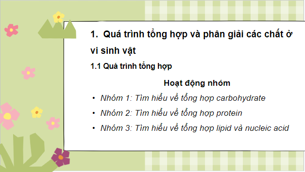 Giáo án điện tử Sinh 10 Kết nối tri thức Bài 21: Trao đổi chất, sinh trưởng và sinh sản ở vi sinh vật | PPT Sinh học 10