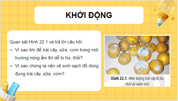 Giáo án điện tử Sinh 10 Chân trời sáng tạo Bài 22: Khái quát về vi sinh vật | PPT Sinh học 10