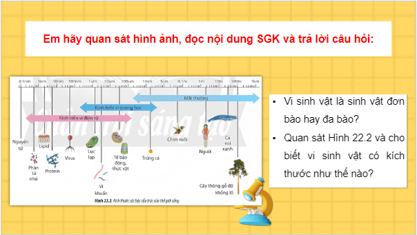 Giáo án điện tử Sinh 10 Chân trời sáng tạo Bài 22: Khái quát về vi sinh vật | PPT Sinh học 10