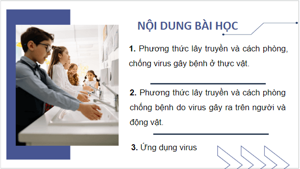 Giáo án điện tử Sinh 10 Cánh diều Bài 22: Phương thức lây truyền, cách phòng chống và ứng dụng của virus | PPT Sinh học 10