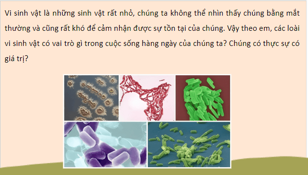 Giáo án điện tử Sinh 10 Kết nối tri thức Bài 22: Vai trò và ứng dụng của vi sinh vật | PPT Sinh học 10