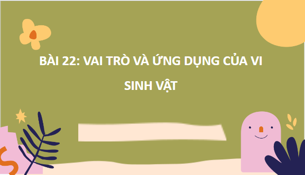 Giáo án điện tử Sinh 10 Kết nối tri thức Bài 22: Vai trò và ứng dụng của vi sinh vật | PPT Sinh học 10