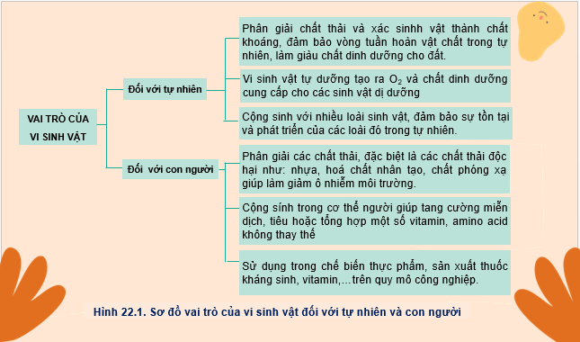 Giáo án điện tử Sinh 10 Kết nối tri thức Bài 22: Vai trò và ứng dụng của vi sinh vật | PPT Sinh học 10