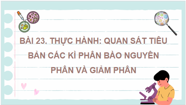 Giáo án điện tử Sinh 10 Chân trời sáng tạo Bài 23: Thực hành: Một số phương pháp nghiên cứu vi sinh vật | PPT Sinh học 10