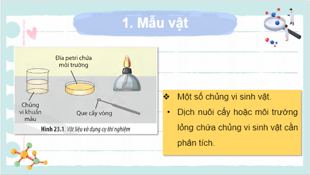 Giáo án điện tử Sinh 10 Chân trời sáng tạo Bài 23: Thực hành: Một số phương pháp nghiên cứu vi sinh vật | PPT Sinh học 10