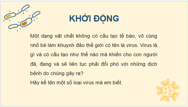 Giáo án điện tử Sinh 10 Kết nối tri thức Bài 24: Khái quát về virus | PPT Sinh học 10