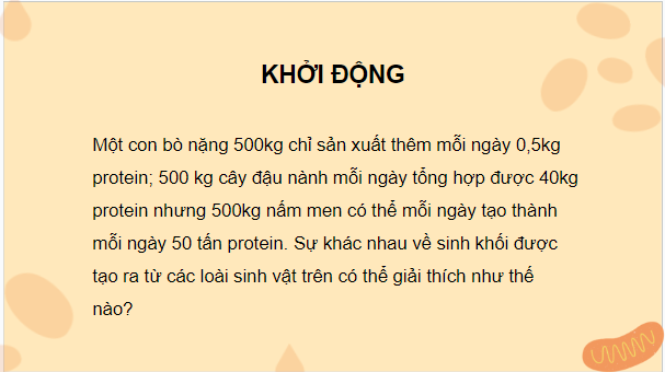 Giáo án điện tử Sinh 10 Chân trời sáng tạo Bài 24: Quá trình tổng hợp và phân giải ở vi sinh vật | PPT Sinh học 10