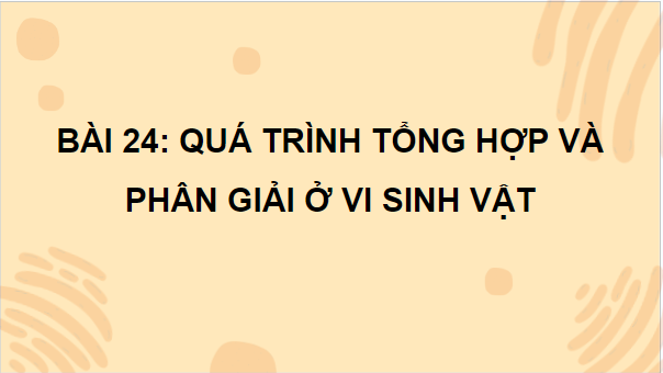 Giáo án điện tử Sinh 10 Chân trời sáng tạo Bài 24: Quá trình tổng hợp và phân giải ở vi sinh vật | PPT Sinh học 10