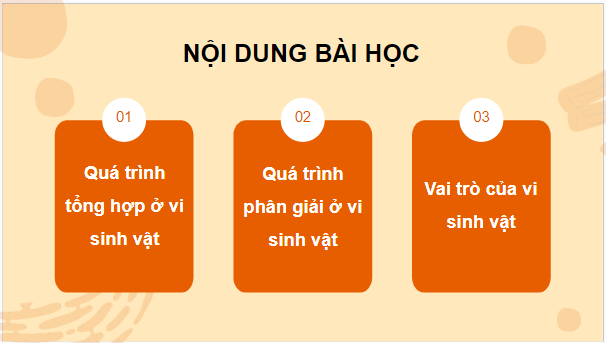 Giáo án điện tử Sinh 10 Chân trời sáng tạo Bài 24: Quá trình tổng hợp và phân giải ở vi sinh vật | PPT Sinh học 10