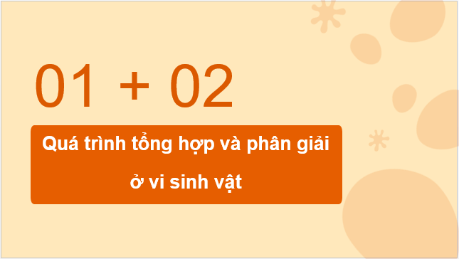 Giáo án điện tử Sinh 10 Chân trời sáng tạo Bài 24: Quá trình tổng hợp và phân giải ở vi sinh vật | PPT Sinh học 10