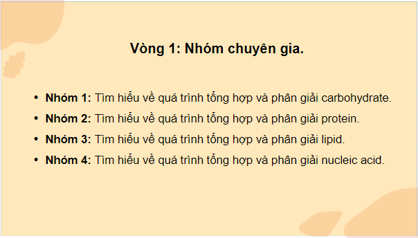 Giáo án điện tử Sinh 10 Chân trời sáng tạo Bài 24: Quá trình tổng hợp và phân giải ở vi sinh vật | PPT Sinh học 10