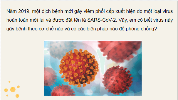 Giáo án điện tử Sinh 10 Kết nối tri thức Bài 25: Một số bệnh do virus và các thành tựu nghiên cứu ứng dụng virus | PPT Sinh học 10