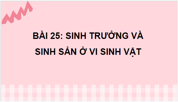 Giáo án điện tử Sinh 10 Chân trời sáng tạo Bài 25: Sinh trưởng và sinh sản ở vi sinh vật | PPT Sinh học 10