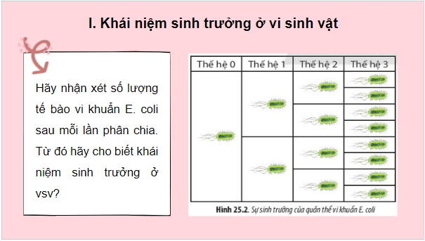 Giáo án điện tử Sinh 10 Chân trời sáng tạo Bài 25: Sinh trưởng và sinh sản ở vi sinh vật | PPT Sinh học 10