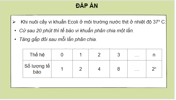 Giáo án điện tử Sinh 10 Chân trời sáng tạo Bài 25: Sinh trưởng và sinh sản ở vi sinh vật | PPT Sinh học 10