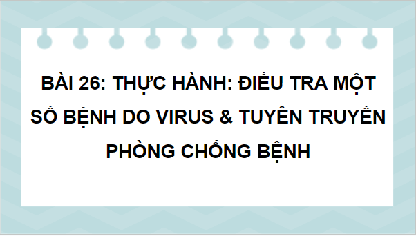 Giáo án điện tử Sinh 10 Kết nối tri thức Bài 26: Thực hành điều tra một số bệnh do virus và tuyên truyền phòng chống bệnh | PPT Sinh học 10