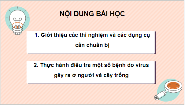 Giáo án điện tử Sinh 10 Kết nối tri thức Bài 26: Thực hành điều tra một số bệnh do virus và tuyên truyền phòng chống bệnh | PPT Sinh học 10