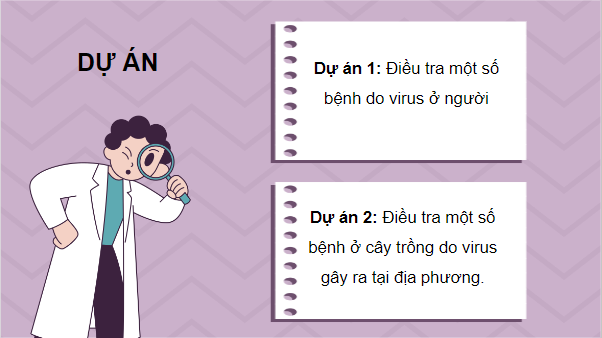 Giáo án điện tử Sinh 10 Kết nối tri thức Bài 26: Thực hành điều tra một số bệnh do virus và tuyên truyền phòng chống bệnh | PPT Sinh học 10