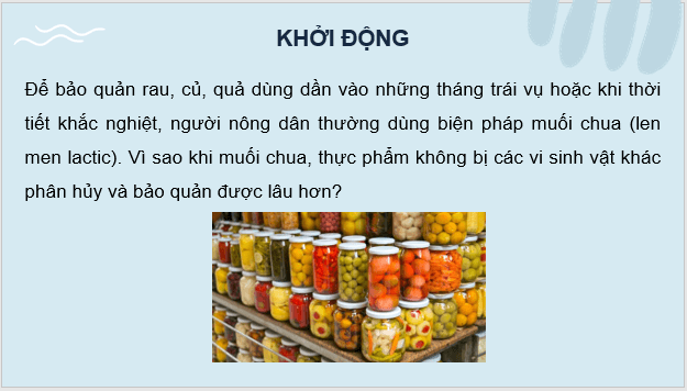 Giáo án điện tử Sinh 10 Chân trời sáng tạo Bài 27: Ứng dụng vi sinh vật trong thực tiến | PPT Sinh học 10