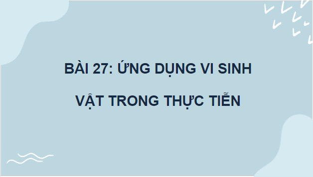 Giáo án điện tử Sinh 10 Chân trời sáng tạo Bài 27: Ứng dụng vi sinh vật trong thực tiến | PPT Sinh học 10