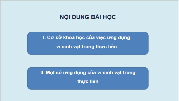 Giáo án điện tử Sinh 10 Chân trời sáng tạo Bài 27: Ứng dụng vi sinh vật trong thực tiến | PPT Sinh học 10