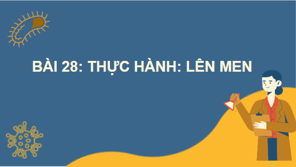 Giáo án điện tử Sinh 10 Chân trời sáng tạo Bài 28: Thực hành: Lên men | PPT Sinh học 10