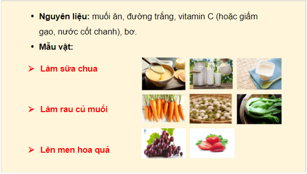 Giáo án điện tử Sinh 10 Chân trời sáng tạo Bài 28: Thực hành: Lên men | PPT Sinh học 10