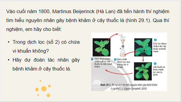 Giáo án điện tử Sinh 10 Chân trời sáng tạo Bài 29: Virus | PPT Sinh học 10