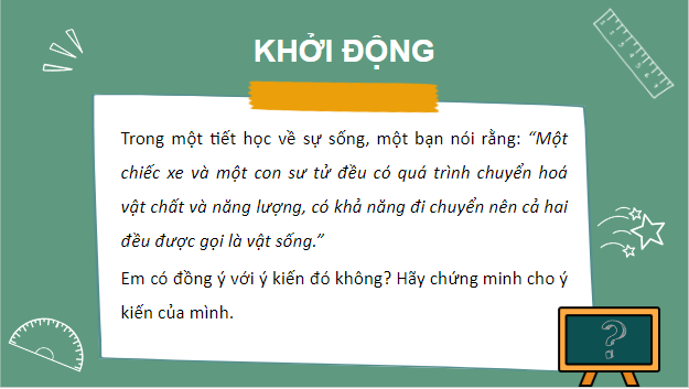 Giáo án điện tử Sinh 10 Chân trời sáng tạo Bài 3: Các cấp độ tổ chức của thế giới sống | PPT Sinh học 10