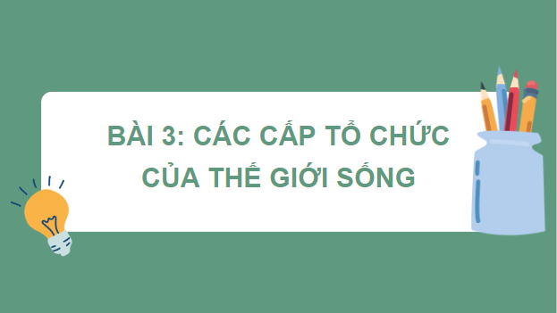 Giáo án điện tử Sinh 10 Chân trời sáng tạo Bài 3: Các cấp độ tổ chức của thế giới sống | PPT Sinh học 10