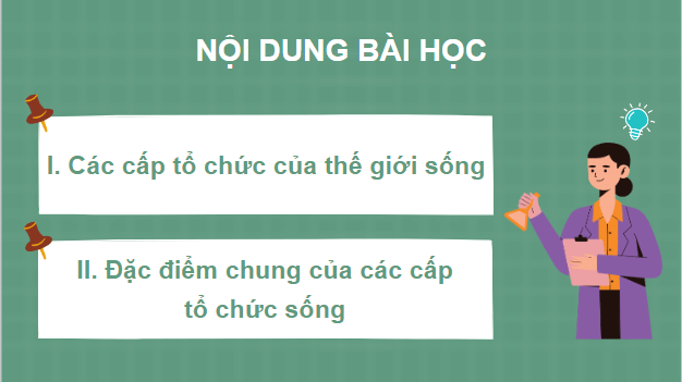 Giáo án điện tử Sinh 10 Chân trời sáng tạo Bài 3: Các cấp độ tổ chức của thế giới sống | PPT Sinh học 10