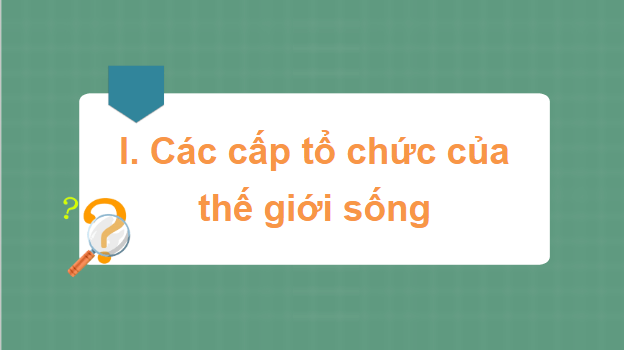 Giáo án điện tử Sinh 10 Chân trời sáng tạo Bài 3: Các cấp độ tổ chức của thế giới sống | PPT Sinh học 10