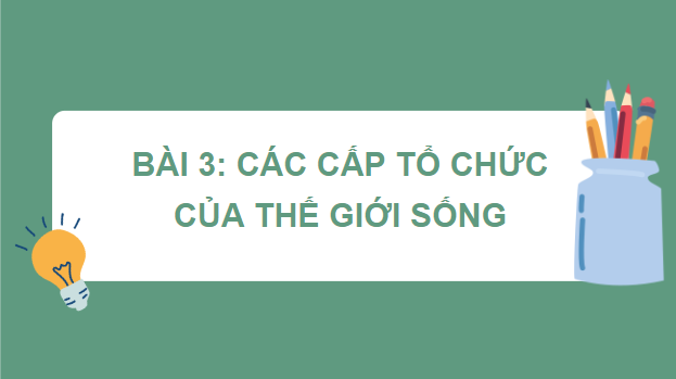 Giáo án điện tử Sinh 10 Kết nối tri thức Bài 3: Các cấp độ tổ chức của thế giới sống | PPT Sinh học 10