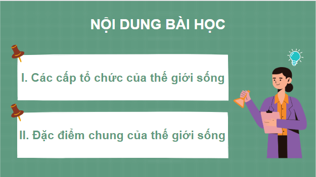 Giáo án điện tử Sinh 10 Kết nối tri thức Bài 3: Các cấp độ tổ chức của thế giới sống | PPT Sinh học 10