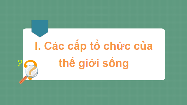 Giáo án điện tử Sinh 10 Kết nối tri thức Bài 3: Các cấp độ tổ chức của thế giới sống | PPT Sinh học 10